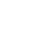 boneandbiscuit