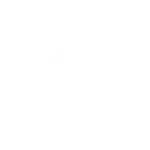 boneandbiscuit